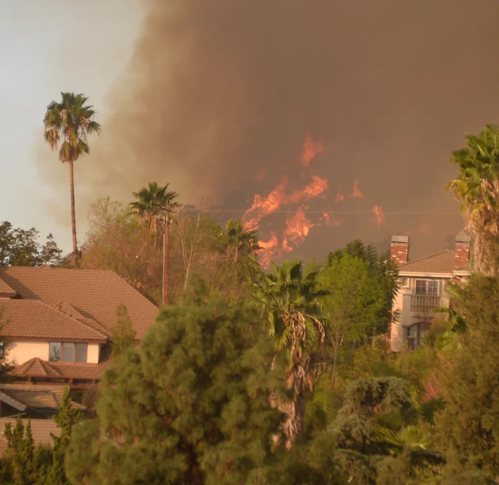 A smokey sky and hillside on fire with palm trees and homes in the foreground.